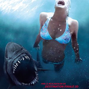 Photo Shark 3D