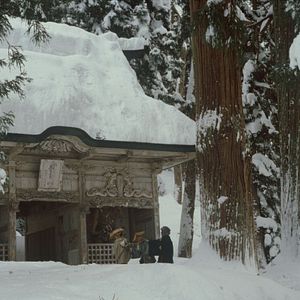 Photo Under Snow