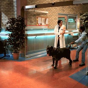 Photo Catherine Benguigui