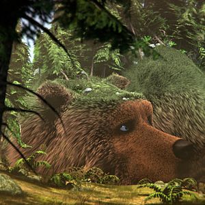 Photo L'Ours Montagne