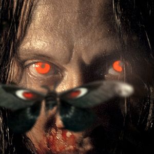 Photo Mothman