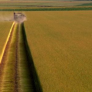 Photo La Pluie et le beau temps