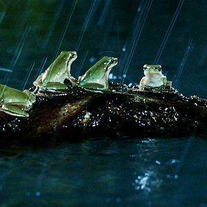 Photo Marie Pérennou