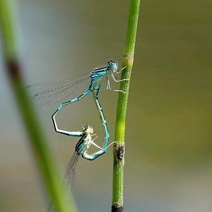 Photo Marie Pérennou