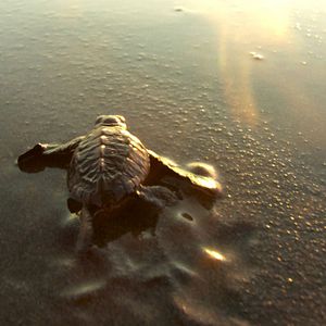 Photo Ends of the Earth