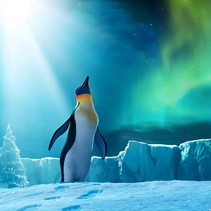 Photo Happy Feet 2