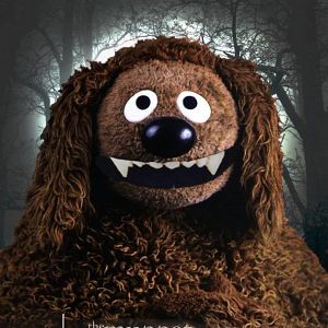 Photo Les Muppets, le retour