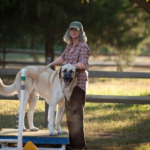 Photo The Lucky One