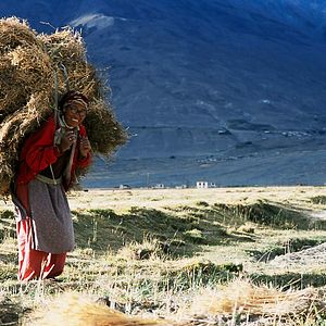 Photo Himalaya, terre des femmes