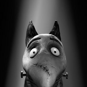 Photo Frankenweenie