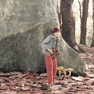 Photo Le Merveilleux voyage de Nils Holgersson au pays des oies sauvages