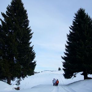 Photo Die Kinder vom Napf