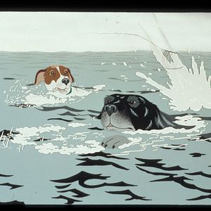 Photo The Plague Dogs