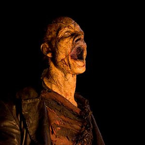 Photo Blood Creek