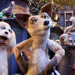 Photo Mongrels