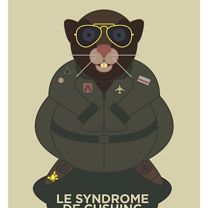 Photo Le Syndrome de Cushing