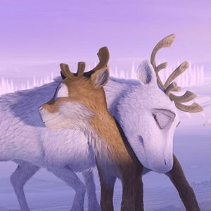 Photo Niko le petit Renne 2