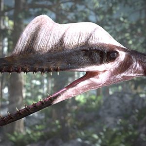 Photo Ptérodactyles 3D : Dans le ciel des dinosaures