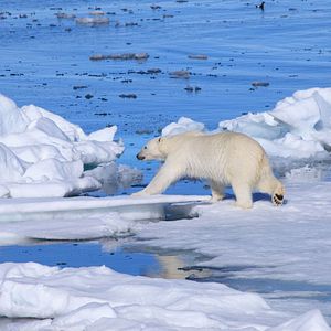 Photo Arctique