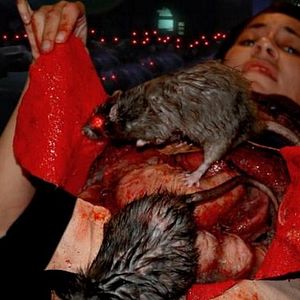 Photo Rat Scratch Fever