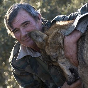 Photo L'Enfant loup