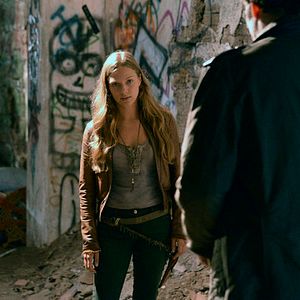 Photo Tracy Spiridakos
