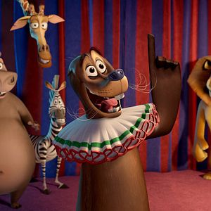 Photo Madagascar 3, Bons Baisers D’Europe
