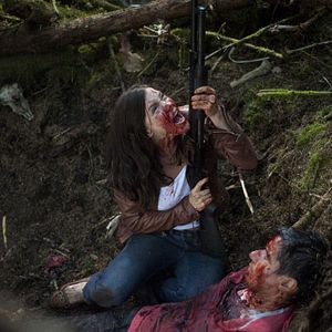 Photo Roadkill
