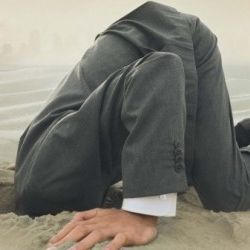 Photo Survivre au progrès