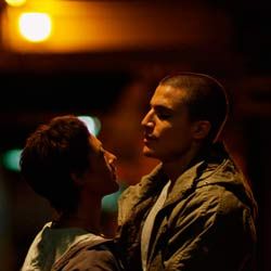 Photo Scorpion in Love