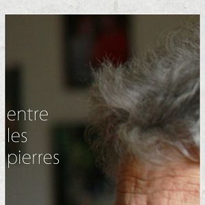 Photo Entre les pierres
