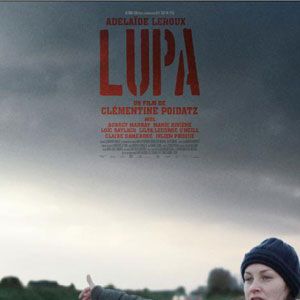 Photo Lupa