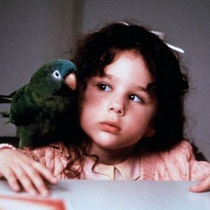 Photo Paulie, le perroquet qui parlait trop