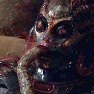 Photo La Mutante 2