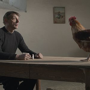 Photo Peter Van den Begin