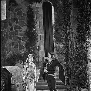 Photo Robin des Bois