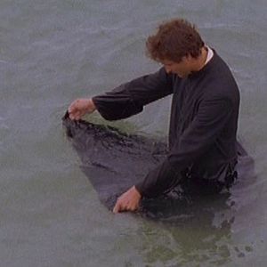 Photo Massimo Del Moro