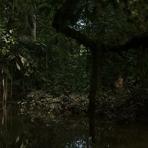 Photo Ecuador une politique au-delà de l'utopie