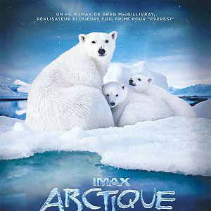 Photo Arctique