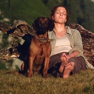 Photo Le Mur Invisible