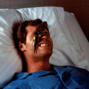 Photo Incidents de parcours