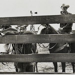 Photo Brandon De Wilde