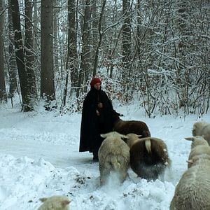 Photo Hiver nomade