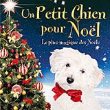 Photo Un Petit chien pour Noël