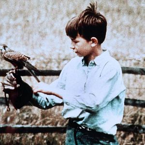 Photo David Bradley (II)