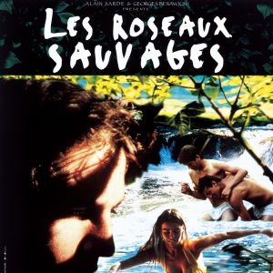 Photo Les Roseaux sauvages