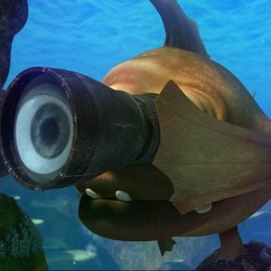 Photo Festin de requin 2, Le recif se rebelle