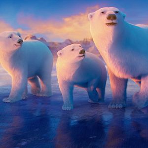 Photo John Stevenson