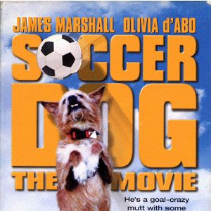 Photo Soccer Dog