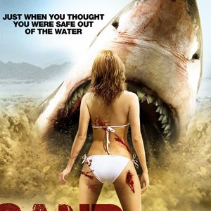 Photo Beach Shark